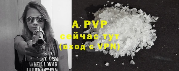 шишки Кодинск