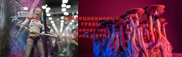 метадон Козельск