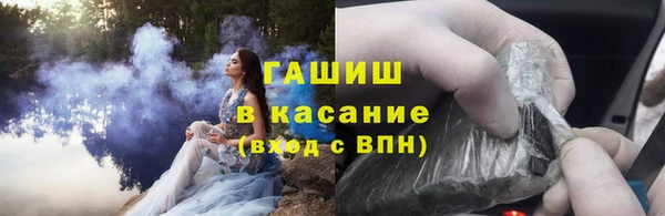 шишки Кодинск