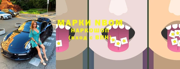 шишки Кодинск