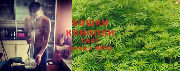 spice Козловка