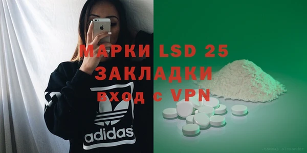 шишки Кодинск