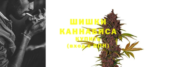 spice Козловка