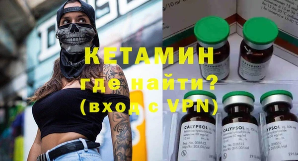 шишки Кодинск