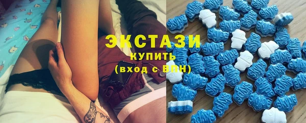 шишки Кодинск