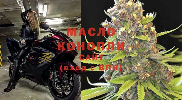 шишки Кодинск