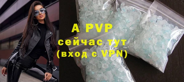 шишки Кодинск