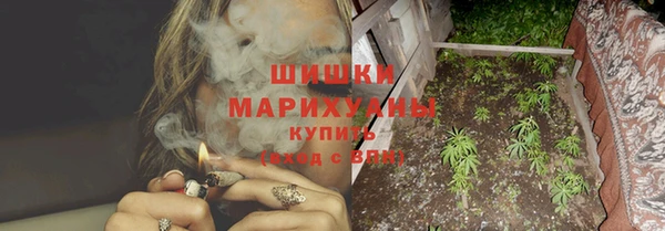 шишки Кодинск